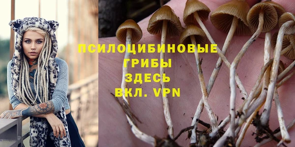 гидропоника Абаза