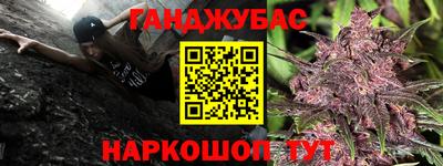 Альфа ПВП Обь