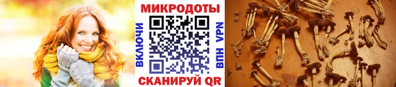 Псилоцибиновые грибы MAGIC MUSHROOMS  Новочеркасск 
