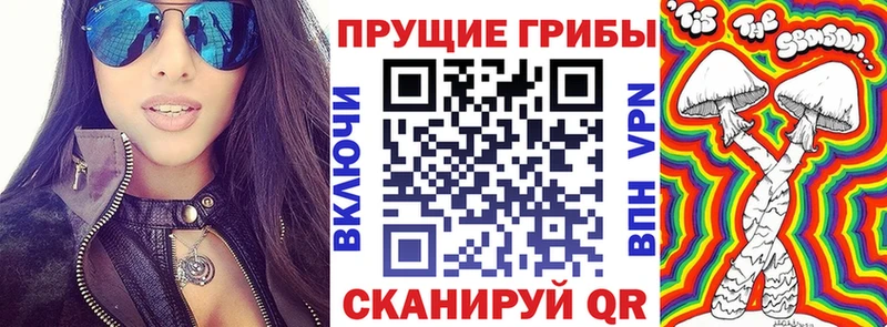 Псилоцибиновые грибы MAGIC MUSHROOMS Новочеркасск