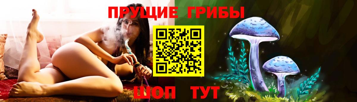 Галлюциногенные грибы Psilocybine cubensis Новочеркасск